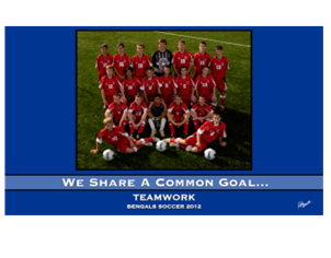 Picture of Team Banner 5' x 3'