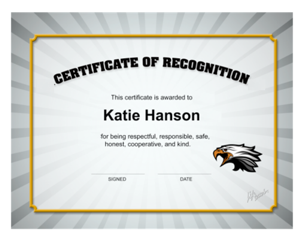 Picture of Custom Recognition Certificate  10" x 8"