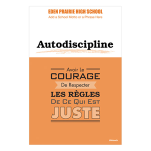 Picture of Self Discipline Character Poster 12" x 18" French