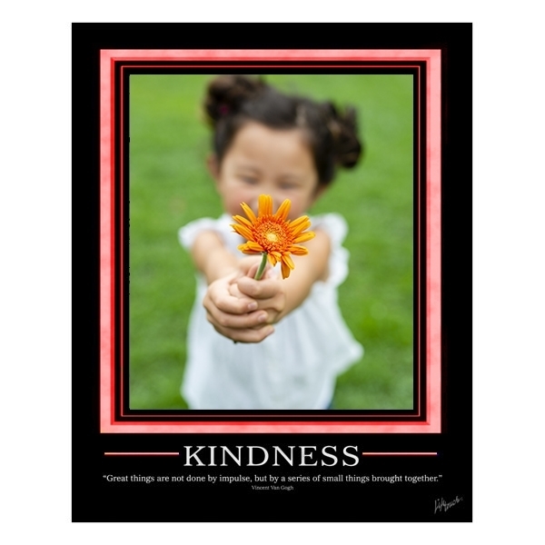 Picture of Kindness Poster 16" x 20"