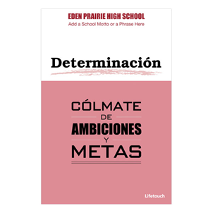 Picture of Determination Character Foam Board Poster 12" x 18" Spanish