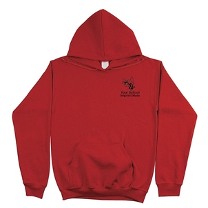 Picture of PULLOVER HOODIE SCREEN