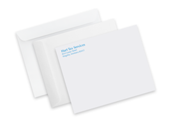 Picture of 9"w x 6"h Mailing Envelopes - Spot Color