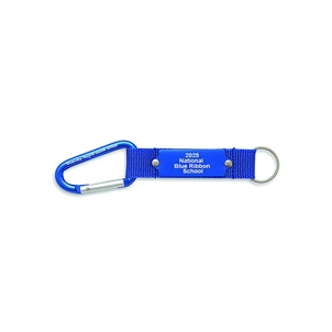 Picture of NATIONAL BLUE RIBBON CARABINER WITH KEY RING